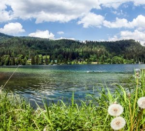 Seelandschaft