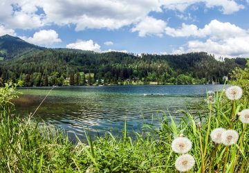 Seelandschaft