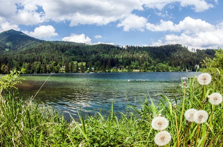 Seelandschaft