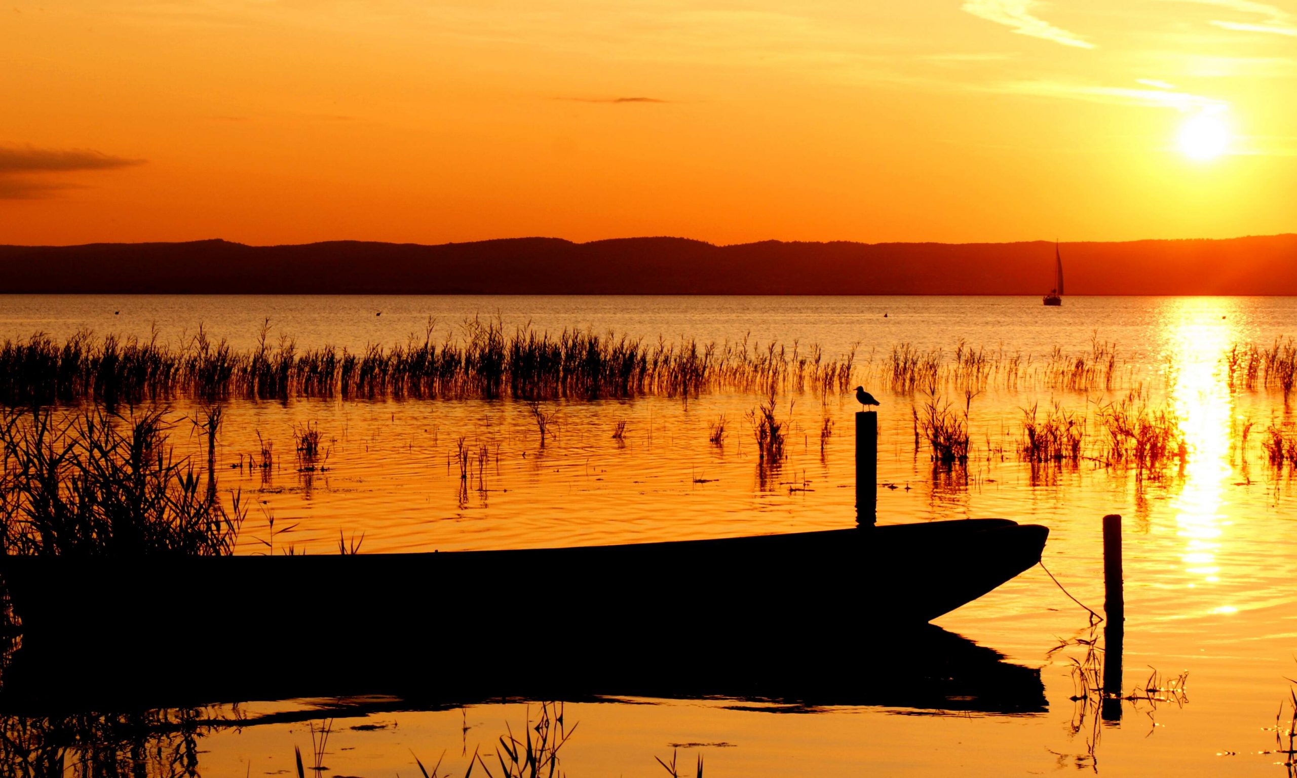 Neusiedler See Sonnenuntergang