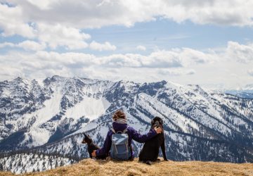 Wandertouren mit Hunde