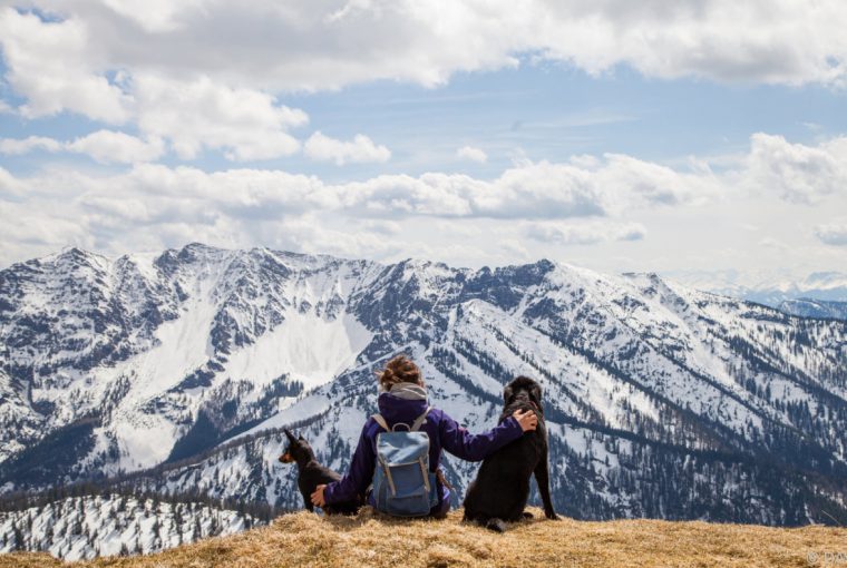 Wandertouren mit Hunde