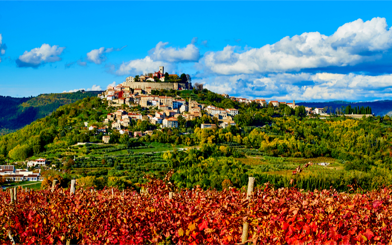 Motovun Kroatien