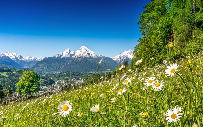 Österreich: Wunderschöner Frühling
