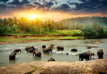 Sri Lanka-MustSees