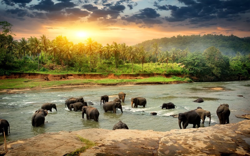 Sri Lanka-MustSees