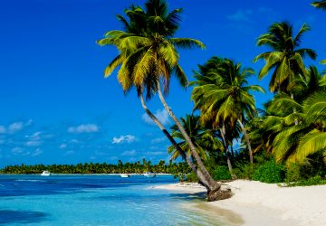 Perfekt für einen tropischen Urlaub