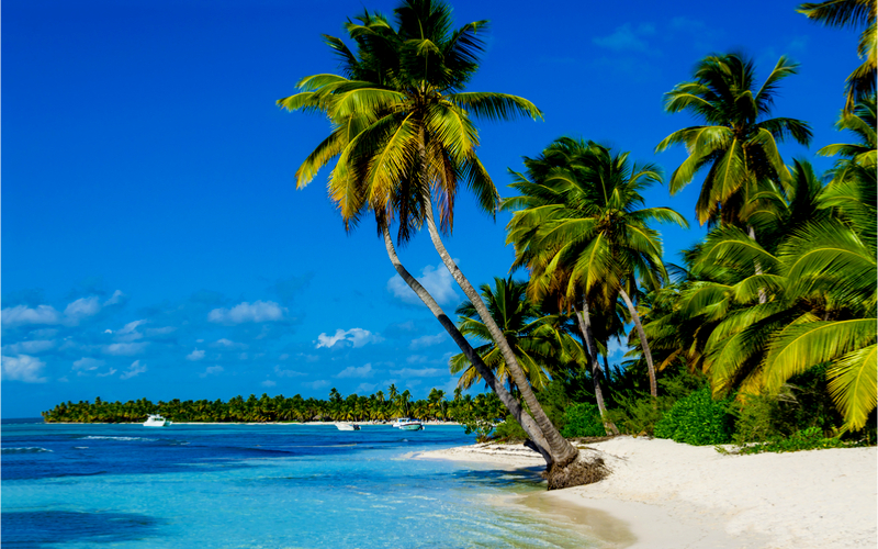 Perfekt für einen tropischen Urlaub