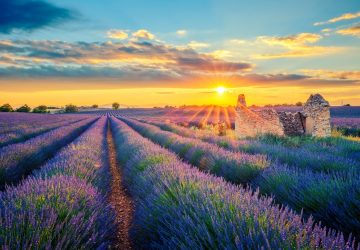 Auszeit in der Provence