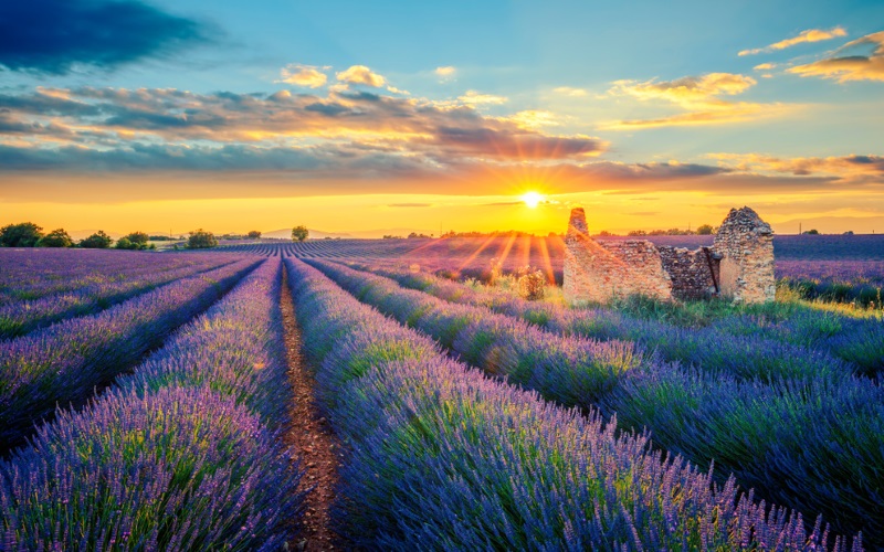 Auszeit in der Provence