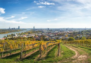 Wien Herbst