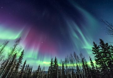 Nordlichter