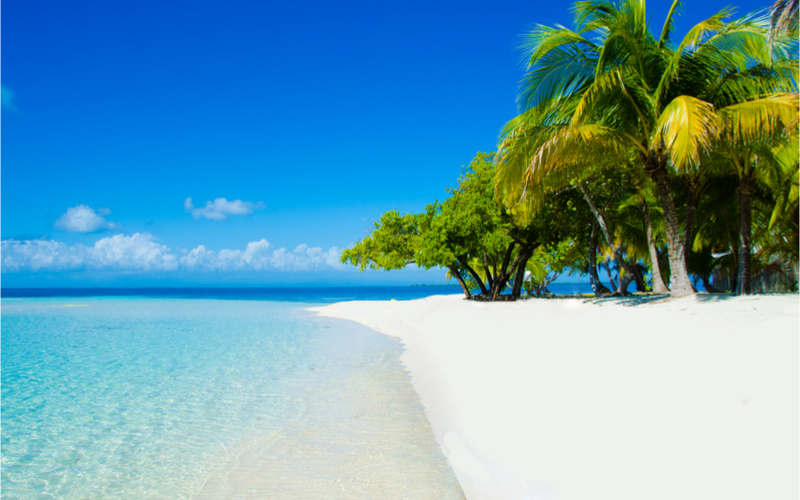 Strand mit Palmen