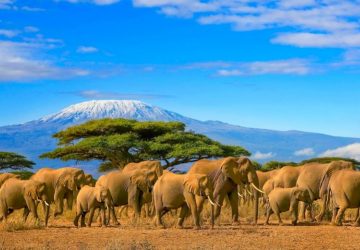 Afrika