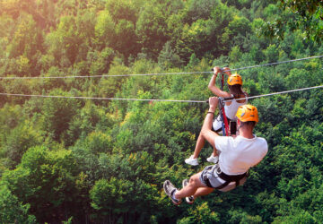Flying Fox