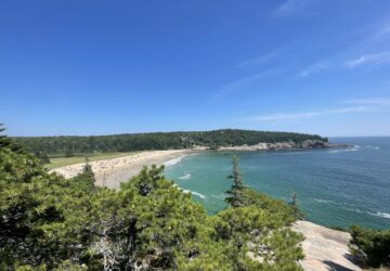 Ausblick Nationalpark zum Strand