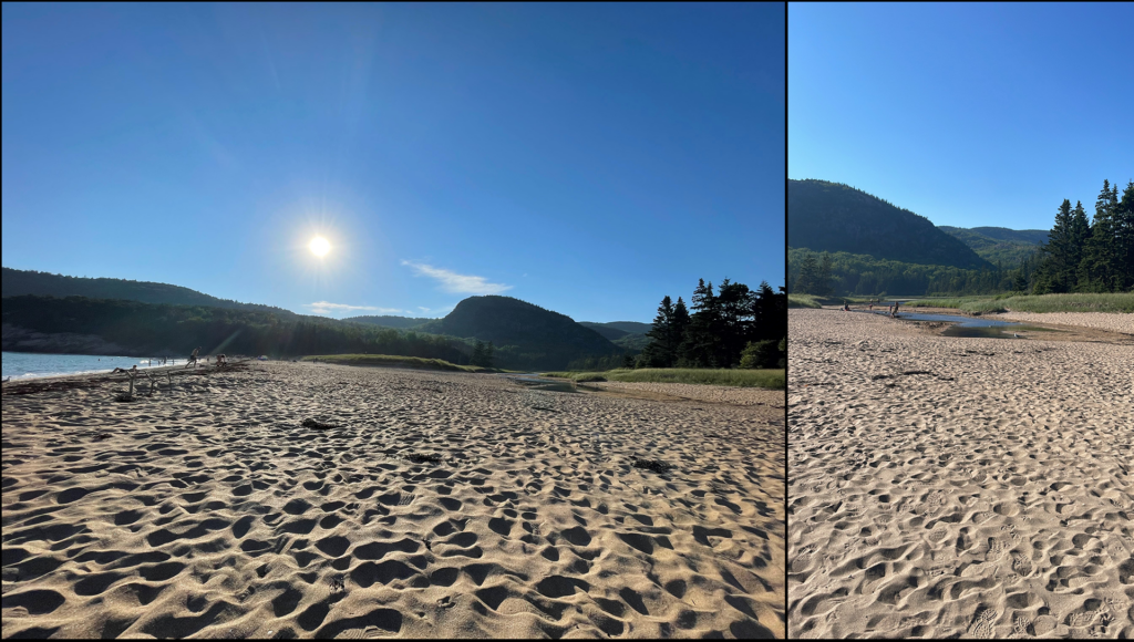 Strand mit Wälder, sowie der Lagune  im Hintergrund
